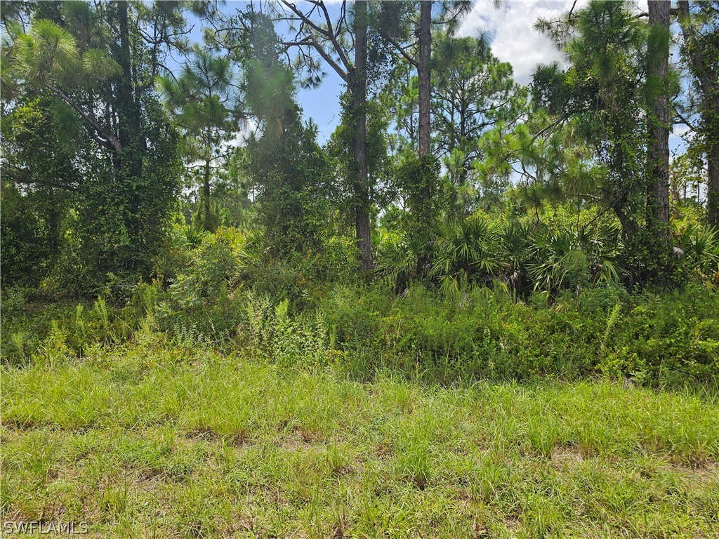 760 Oro Avenue S Lehigh Acres FL 33974 224063292 image4