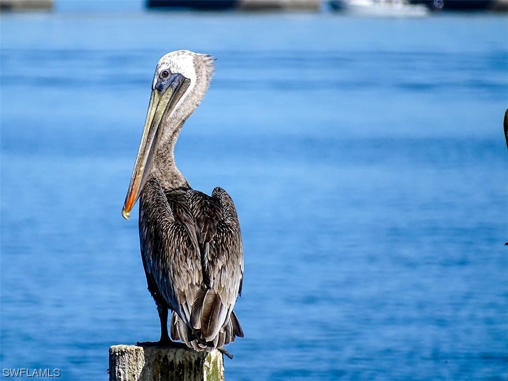 760 Sextant Drive #223 Sanibel FL 33957 223086720 image41