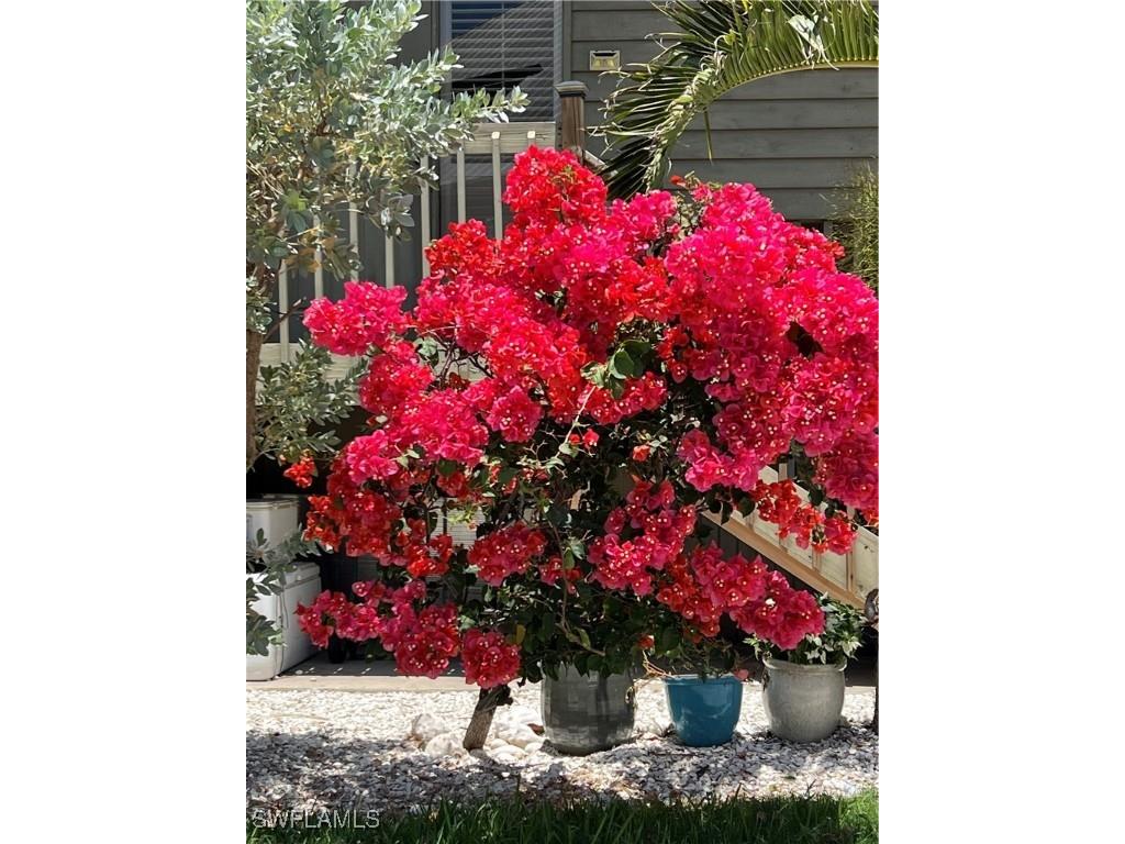 7731 Bocilla Lane #9 Bokeelia FL 33922 225047082 image6