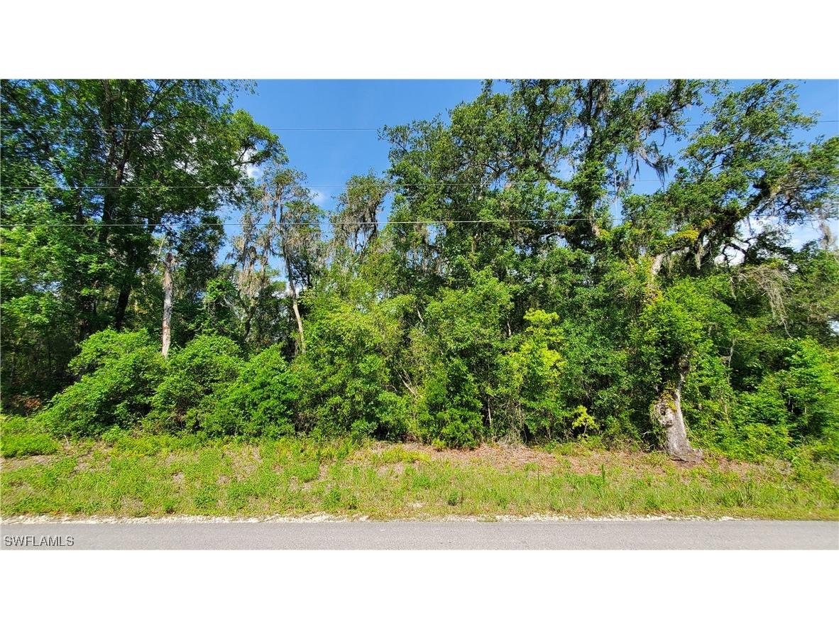 8001 Shasta Street Webster FL 33597 223041802 image1