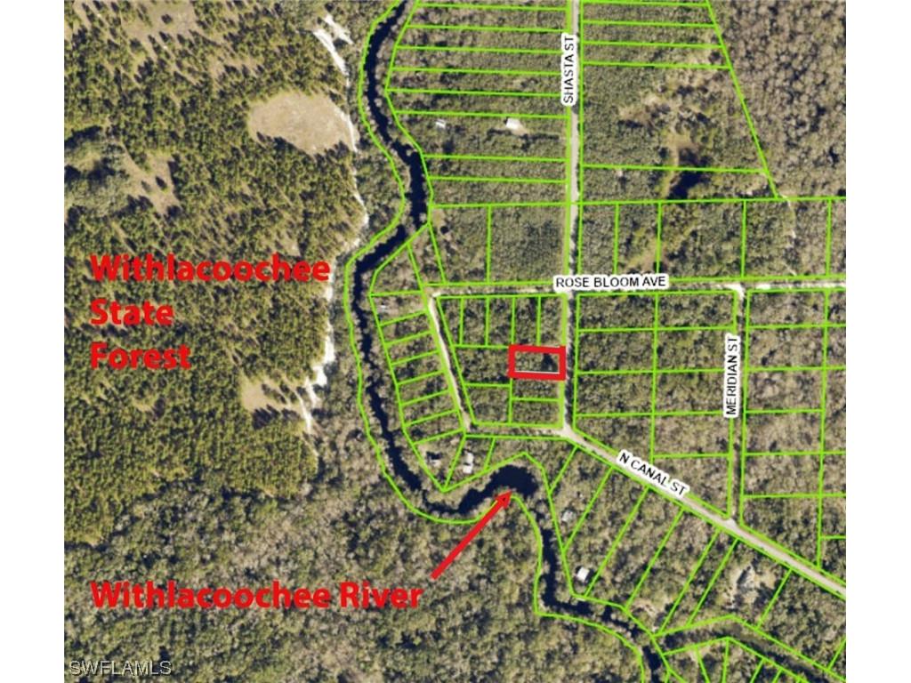 8001 Shasta Street Webster FL 33597 223041802 image2