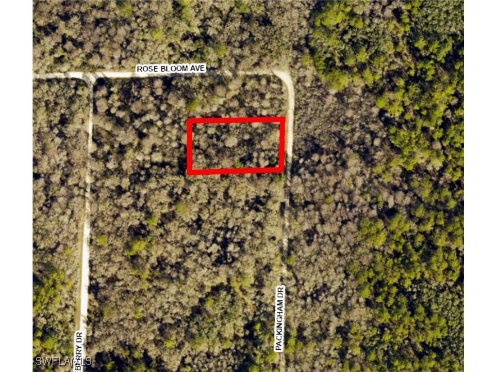 8009 Packingham Street Webster FL 33597 225053904 image1