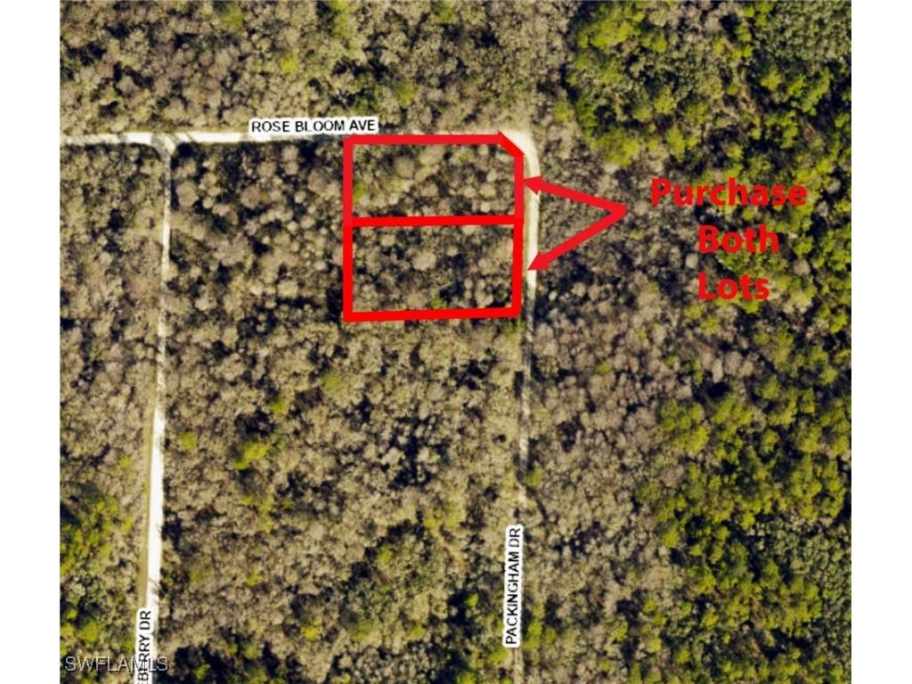 8009 Packingham Street Webster FL 33597 225053904 image2