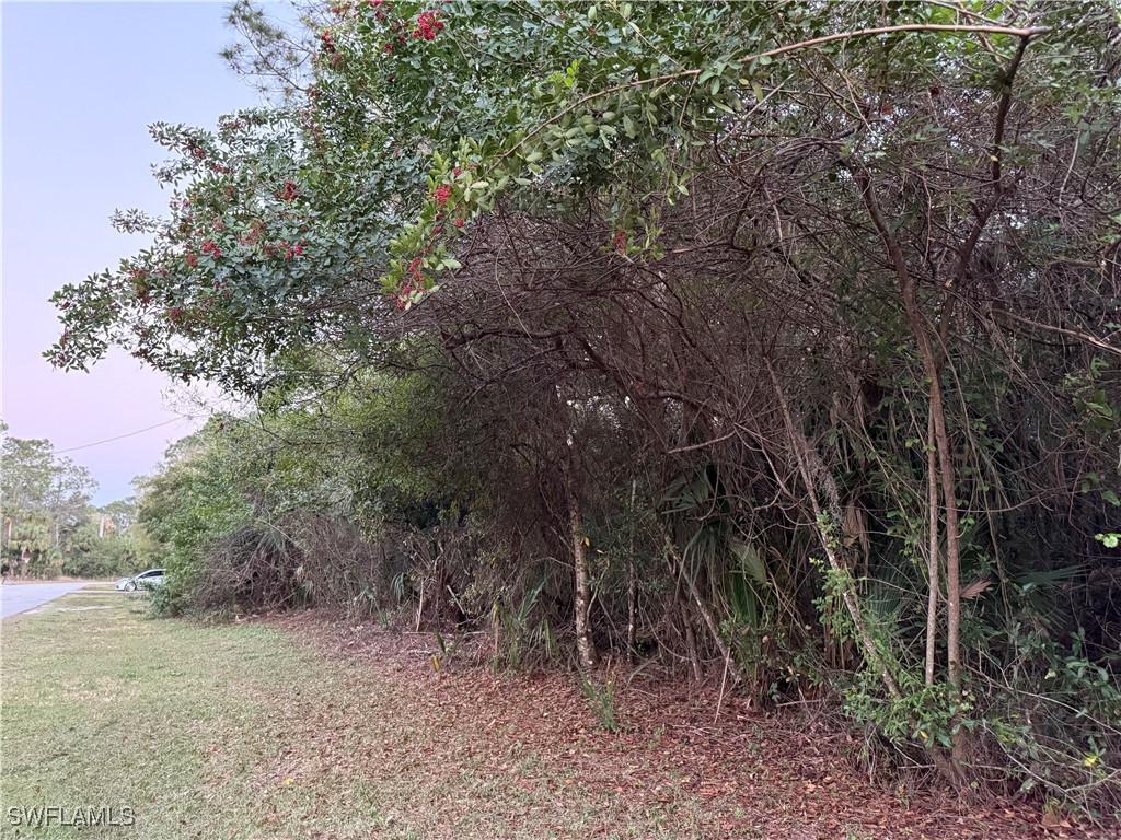 8044 Windswept Circle Labelle FL 33935 225014914 image1