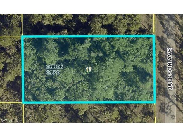  Lehigh Acres FL 33972 224057920 image1