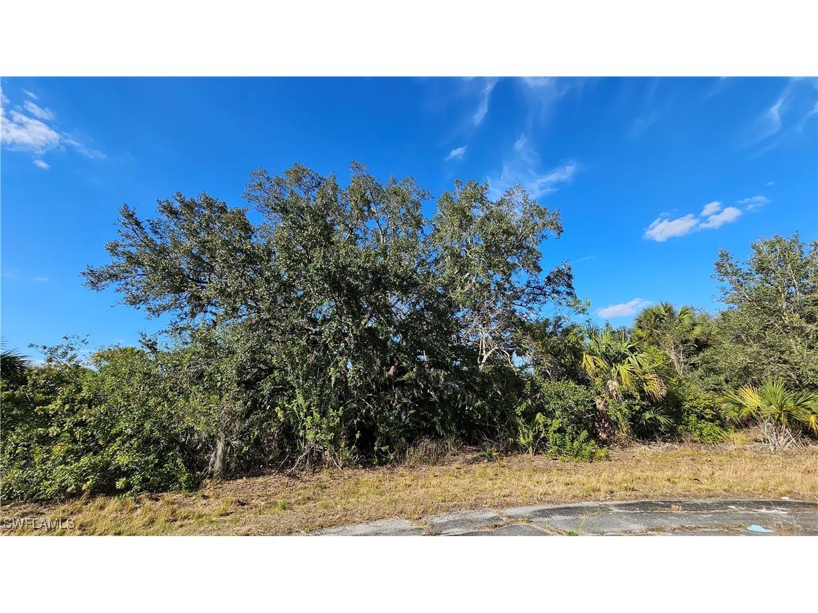 811 Opal Court Labelle FL 33935 225010528 image11