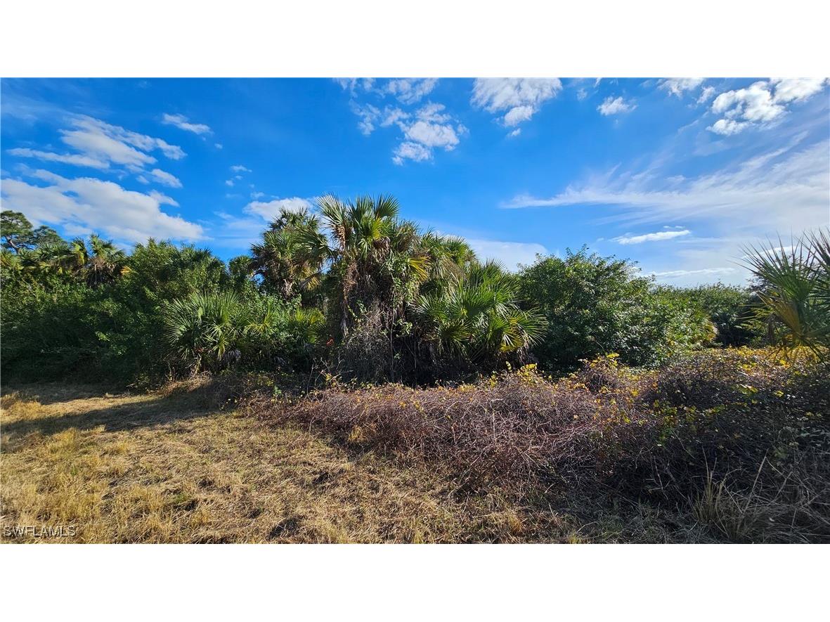 811 Opal Court Labelle FL 33935 225010528 image12