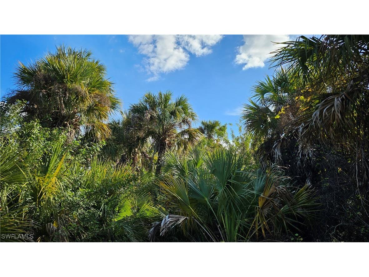 811 Opal Court Labelle FL 33935 225010528 image3