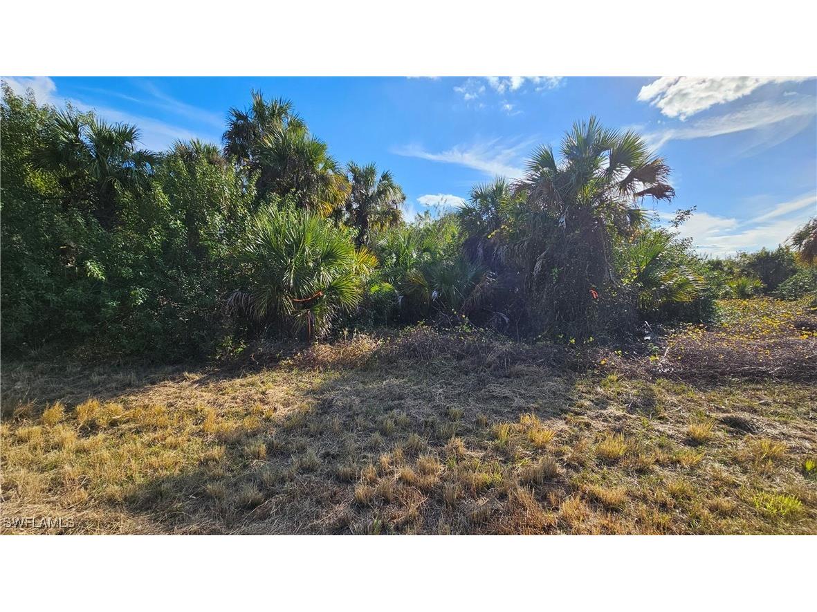 811 Opal Court Labelle FL 33935 225010528 image7