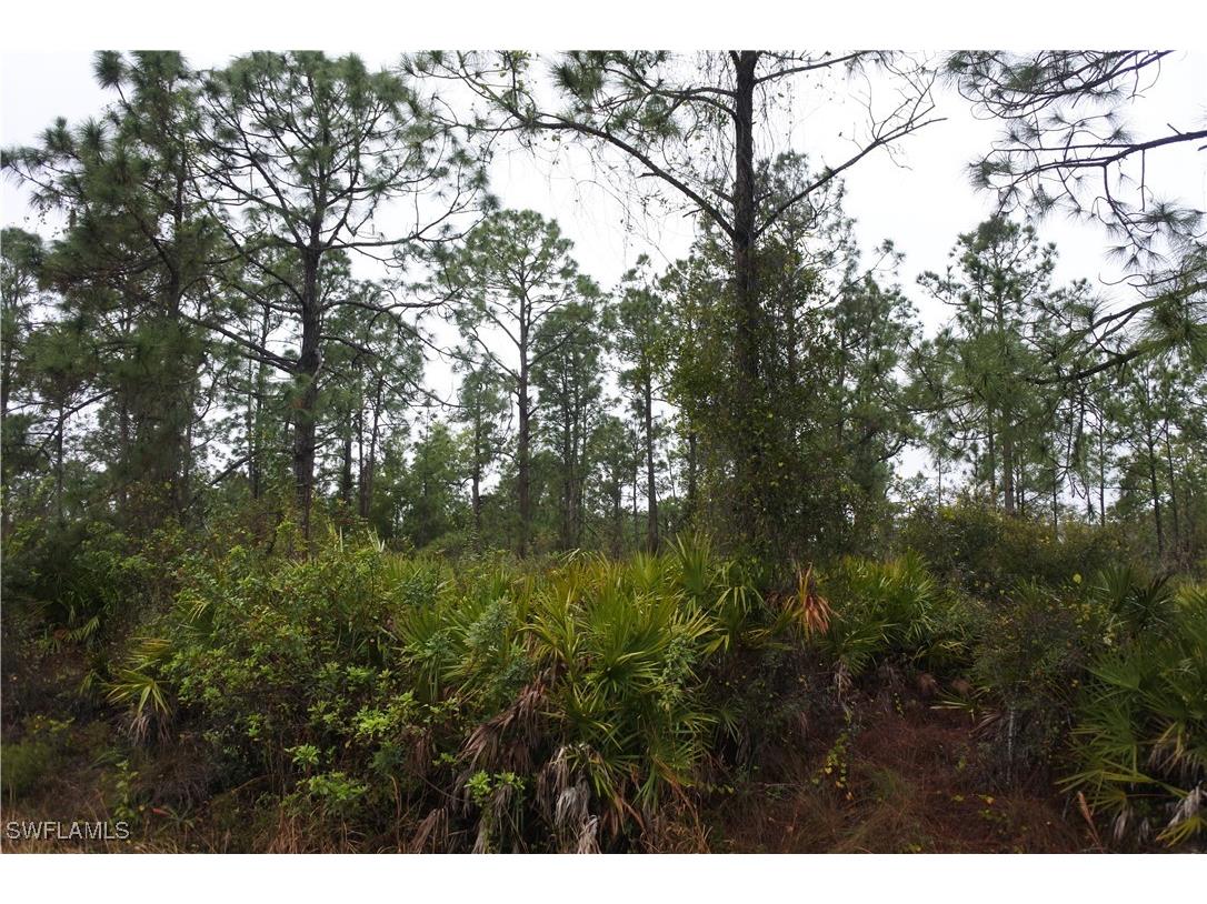 811 State Avenue Lehigh Acres FL 33972 225008943 image1