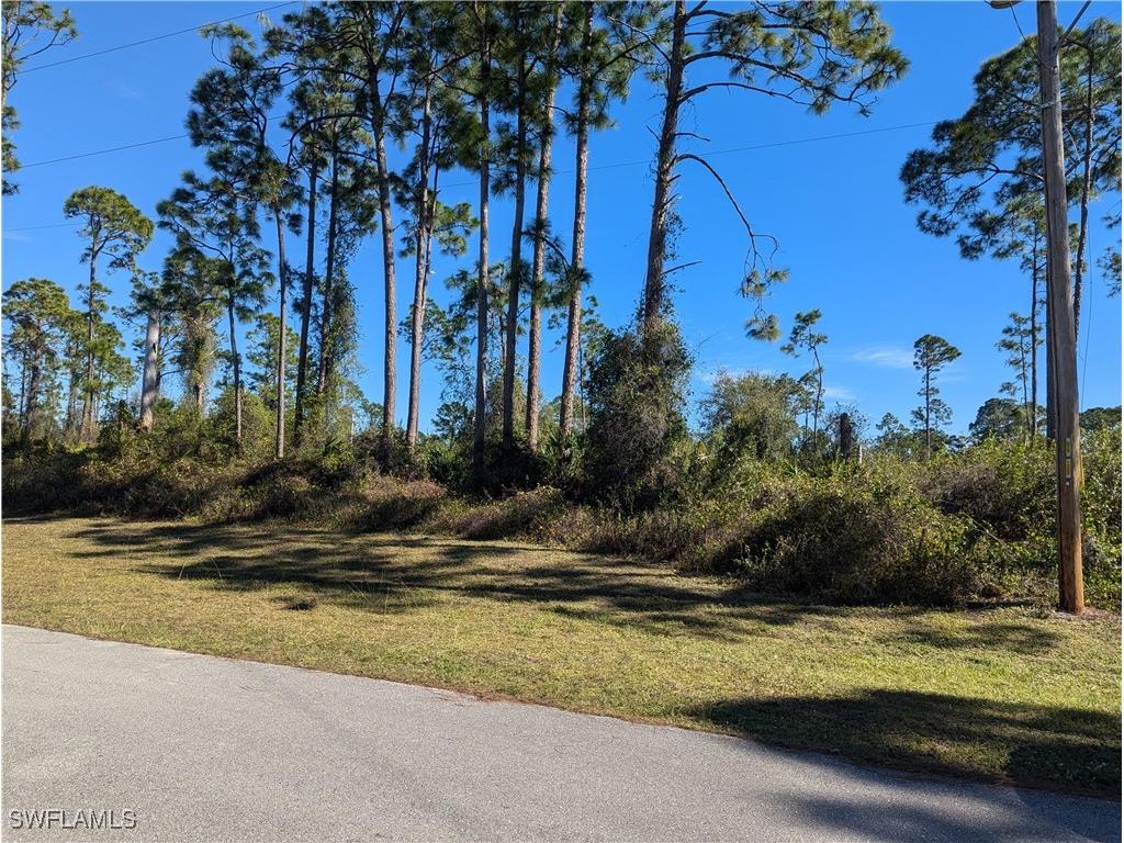 817 Pinecastle Drive Lehigh Acres FL 33974 224104154 image15