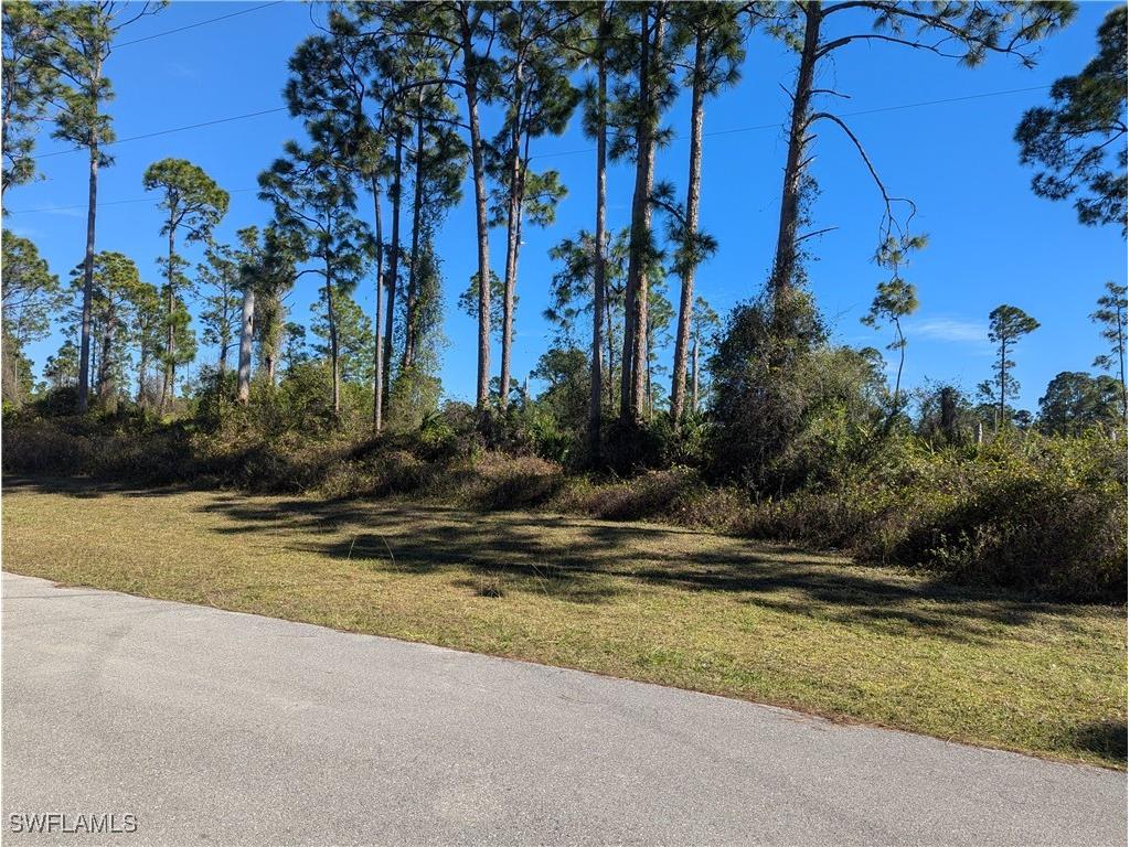 817 Pinecastle Drive Lehigh Acres FL 33974 224104154 image16