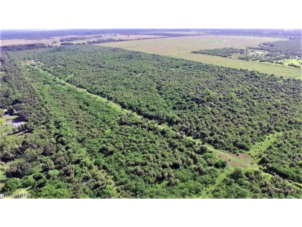 8210 Cr 78 Road Labelle FL 33935 221060827 image2