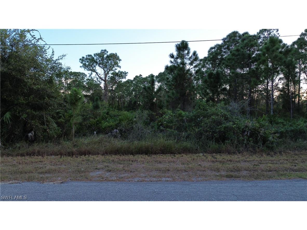 824 Calumet Street E Lehigh Acres FL 33974 223088691 image1