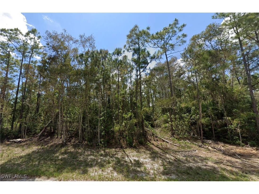 828 Glen Coy Avenue Lehigh Acres FL 33974 225048132 image1