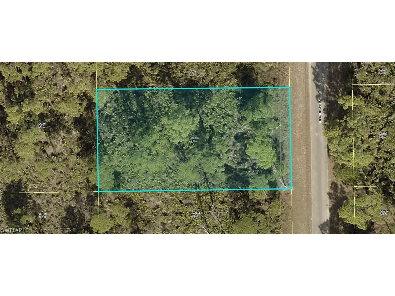 836 Giorgio Avenue S Lehigh Acres FL 33974 222018939 image1