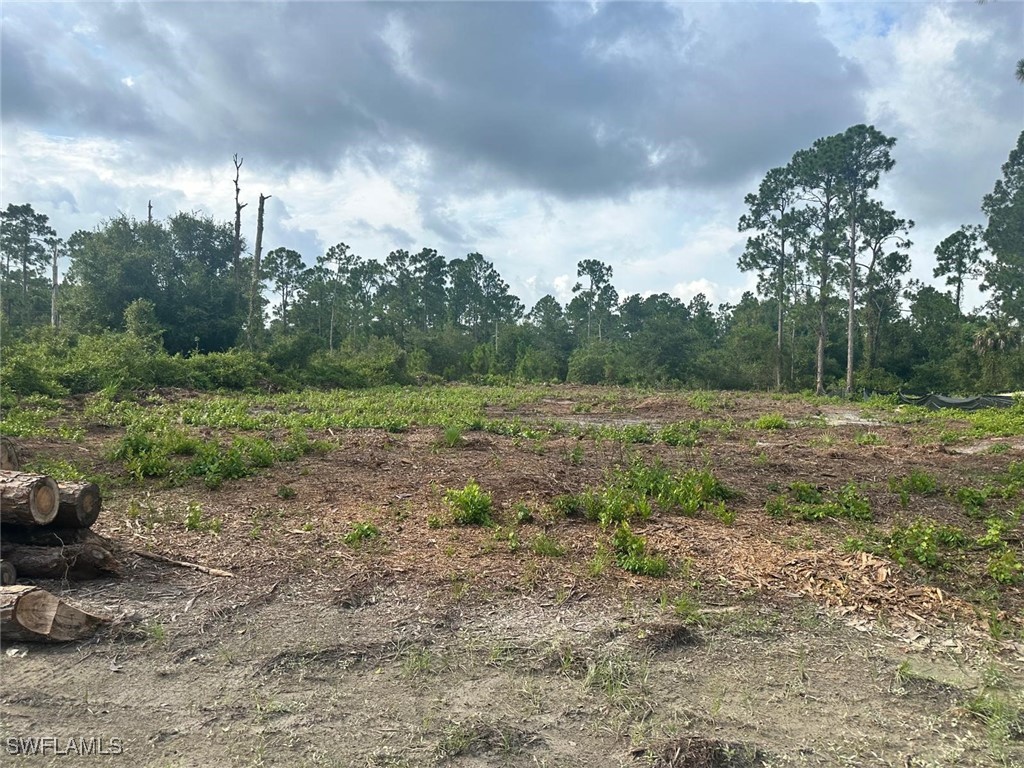 848 Cadis Street E Lehigh Acres FL 33974 224065337 image2