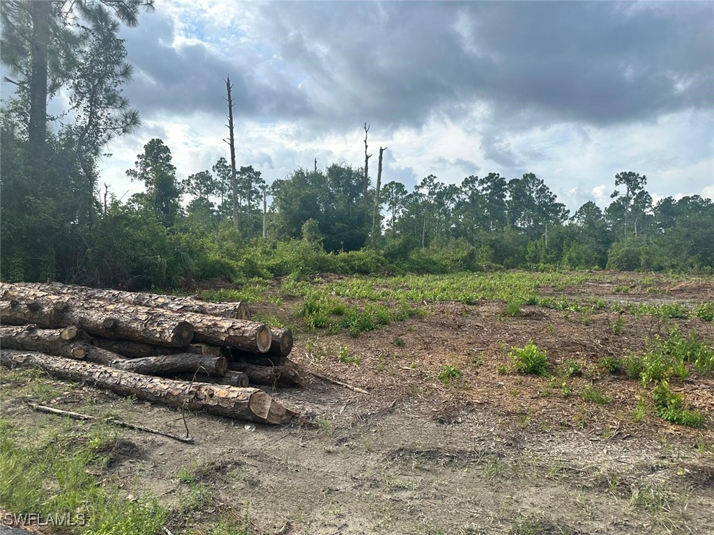 848 Cadis Street E Lehigh Acres FL 33974 224065337 image3