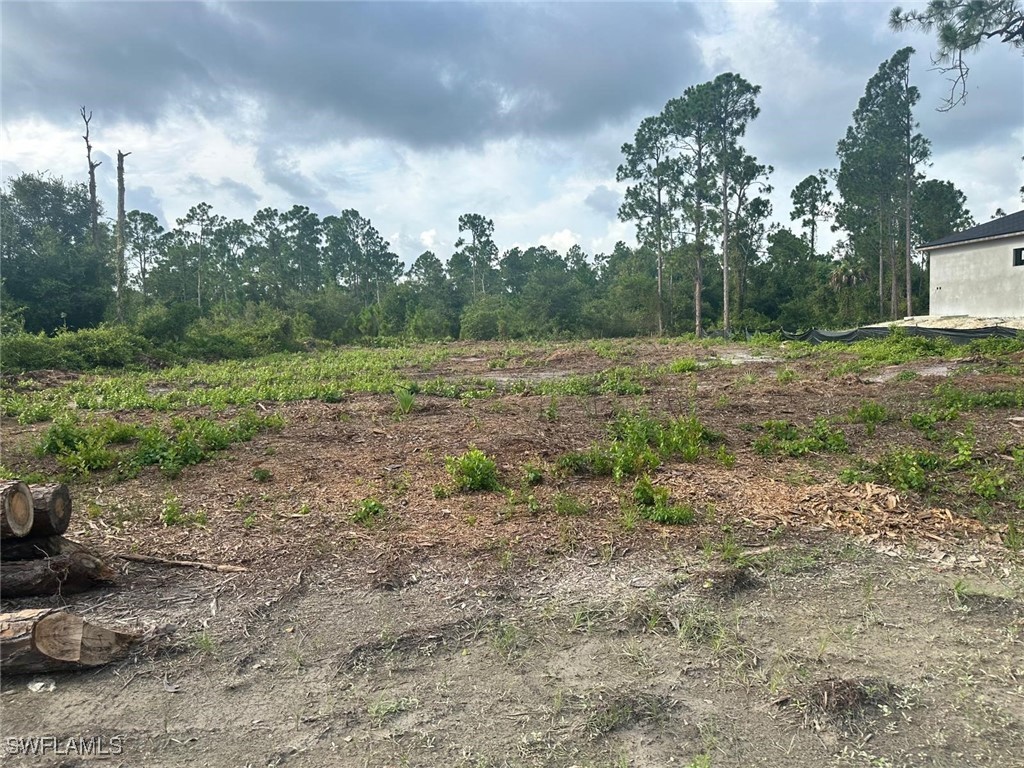 848 Cadis Street E Lehigh Acres FL 33974 224065337 image4