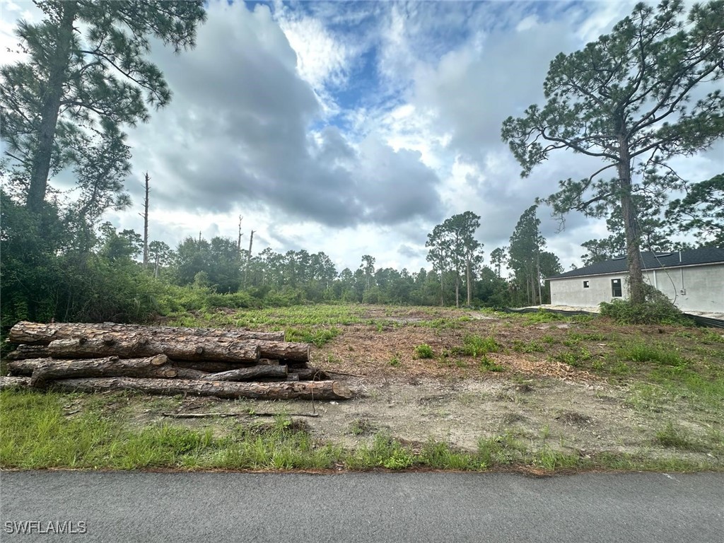 848 Cadis Street E Lehigh Acres FL 33974 224065337 image8