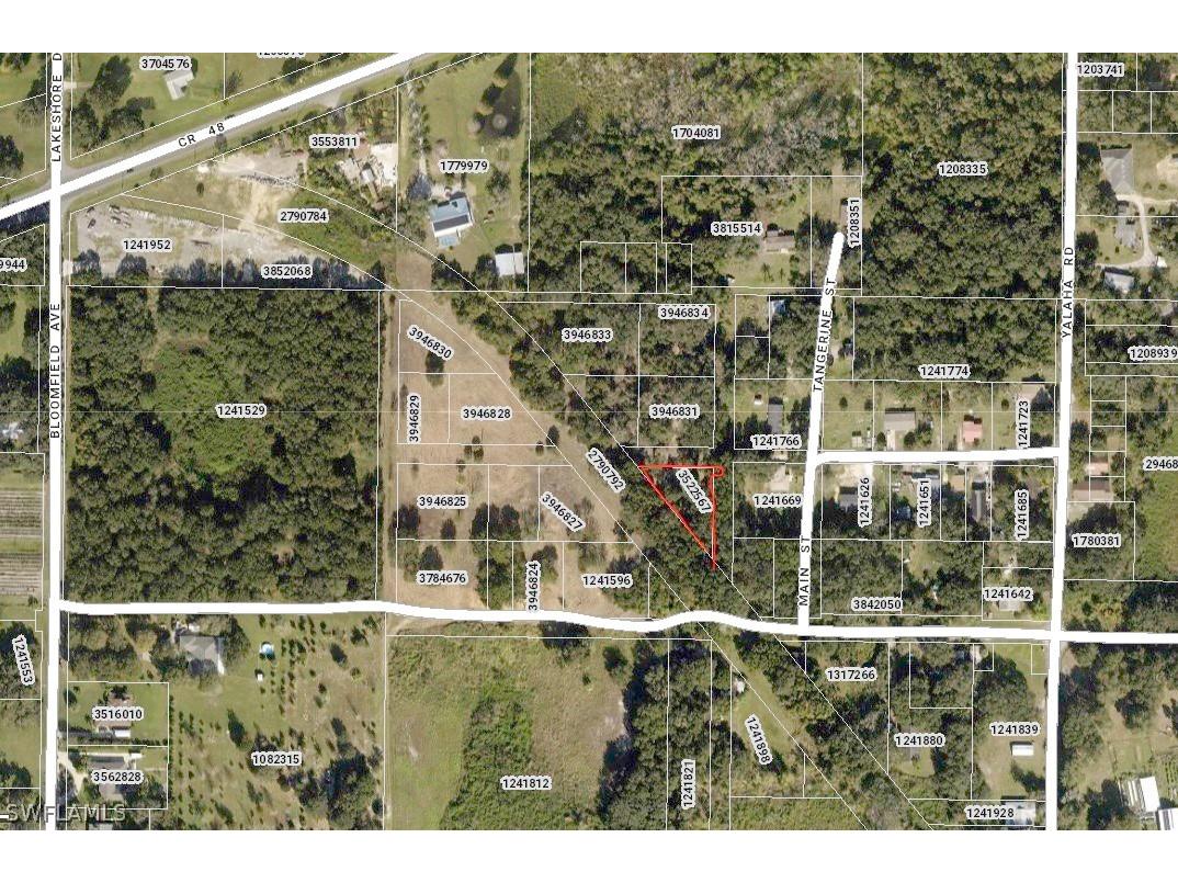 8525 Guava (Owner Financing) Street, Yalaha, FL, 34797 MLS 223054246