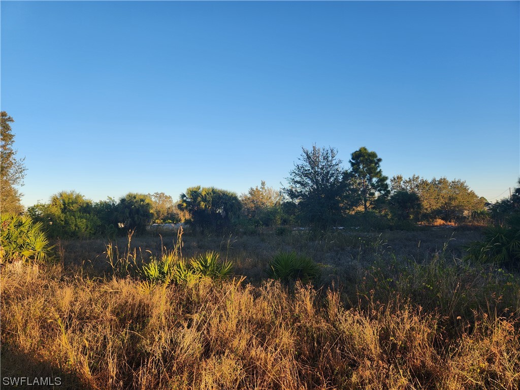 853 Frederick Reid Street E Lehigh Acres FL 33974 223093558 image1