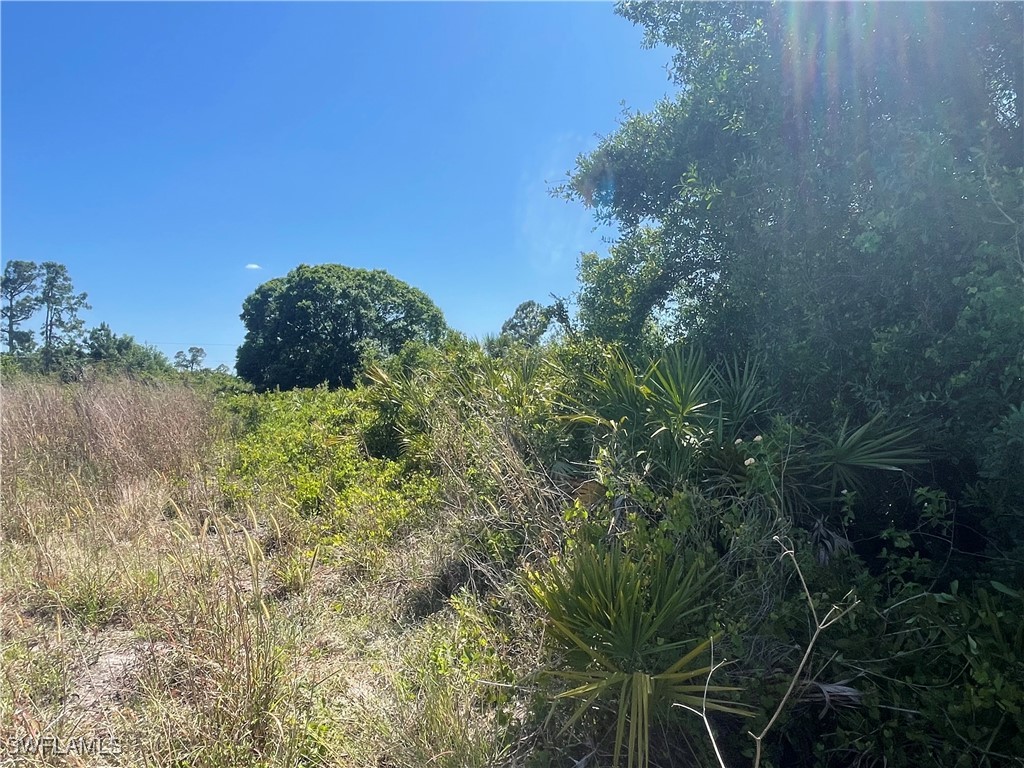 864 Chezy Street E Lehigh Acres FL 33974 225036403 image3