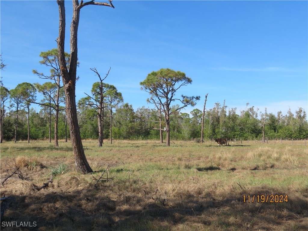 8721 Nome Court Saint James City FL 33956 224093178 image13