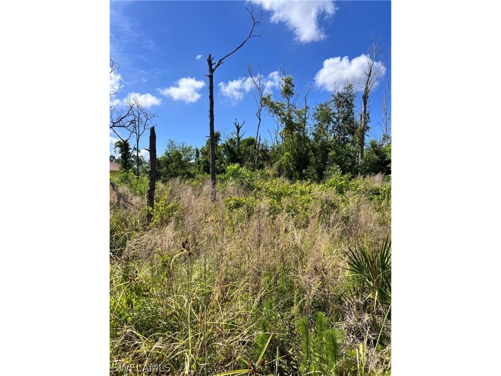 8756 Nome Court Saint James City FL 33956 224038994 image10