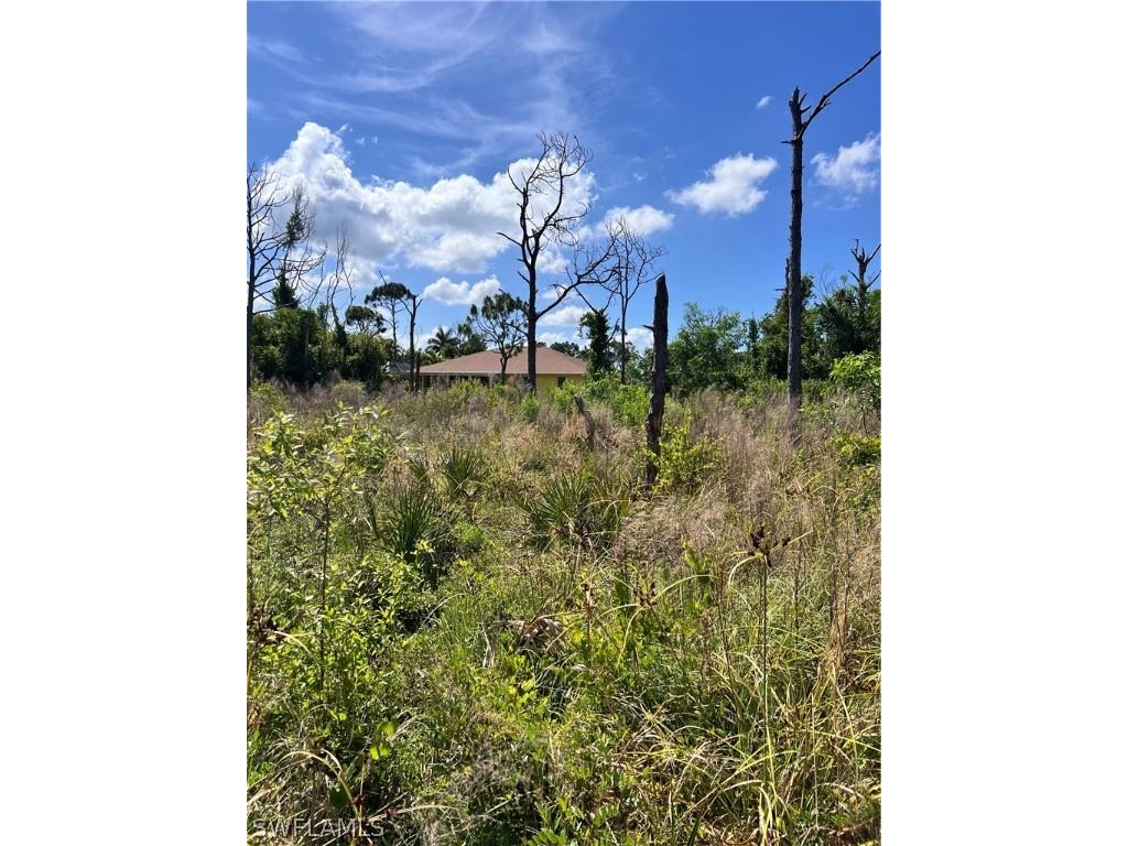 8756 Nome Court Saint James City FL 33956 224038994 image11