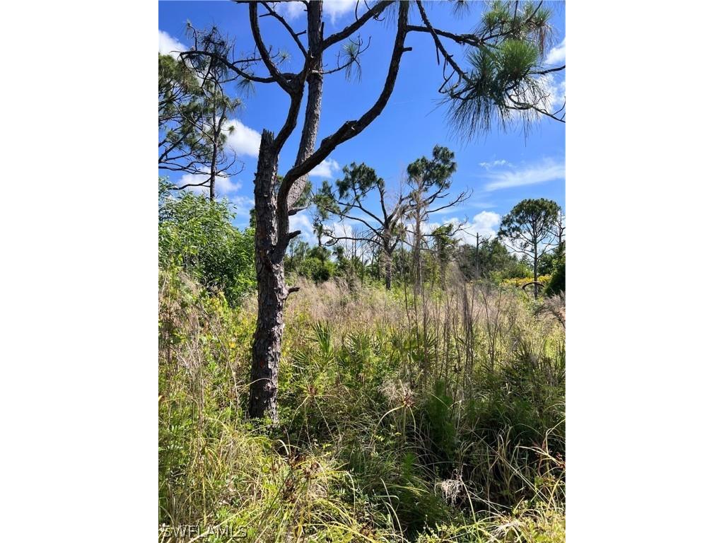 8756 Nome Court Saint James City FL 33956 224038994 image12