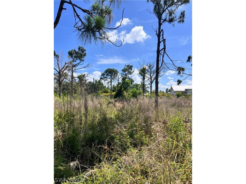 8756 Nome Court Saint James City FL 33956 224038994 image13