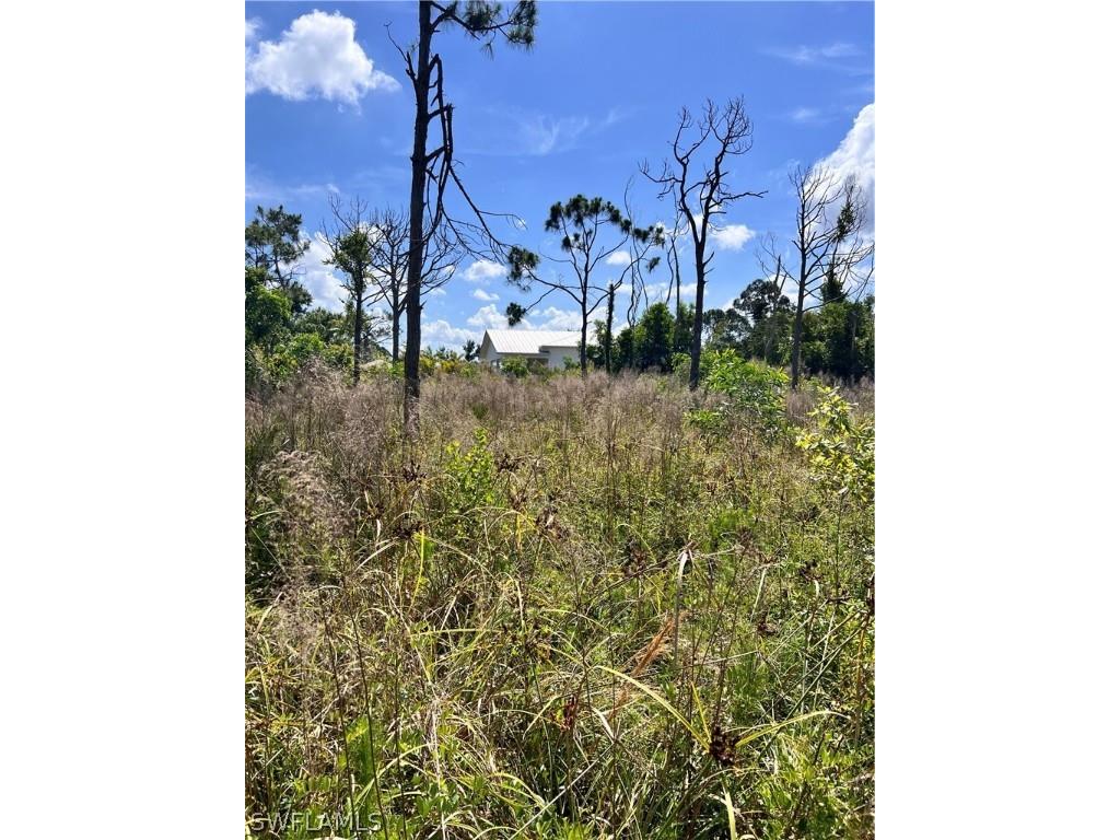 8756 Nome Court Saint James City FL 33956 224038994 image14