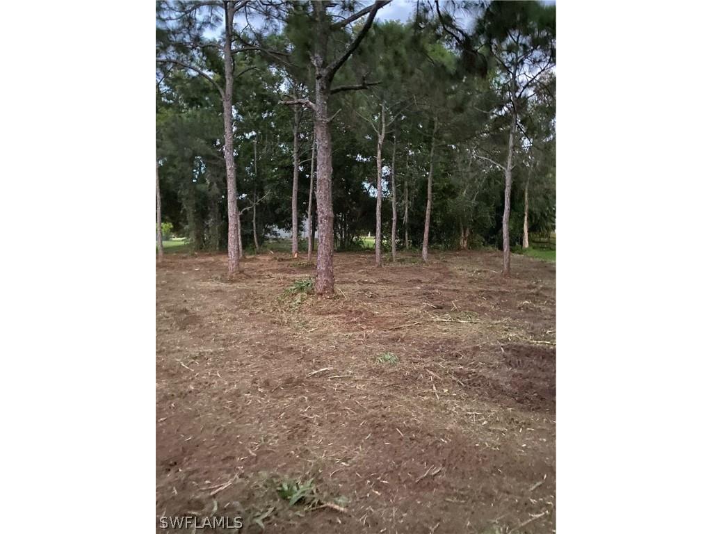 8756 Nome Court Saint James City FL 33956 224038994 image3