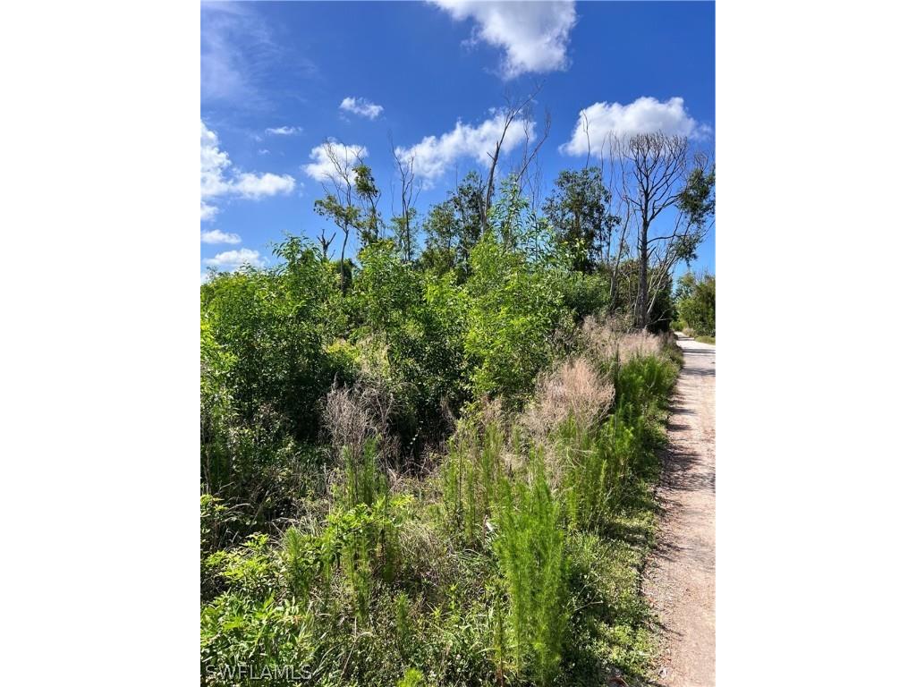 8756 Nome Court Saint James City FL 33956 224038994 image5