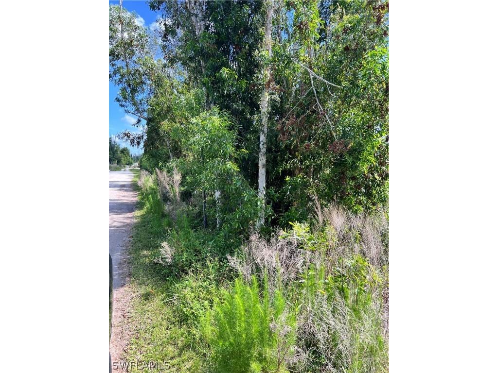 8756 Nome Court Saint James City FL 33956 224038994 image6