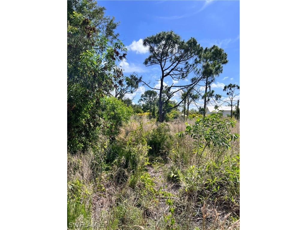 8756 Nome Court Saint James City FL 33956 224038994 image7