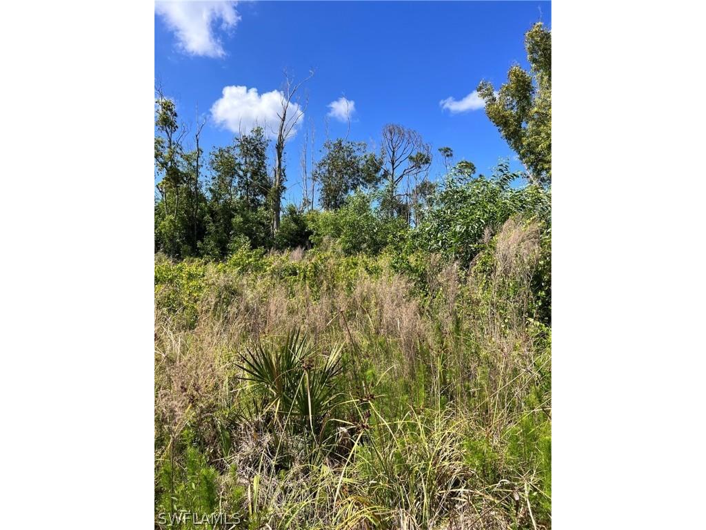 8756 Nome Court Saint James City FL 33956 224038994 image9