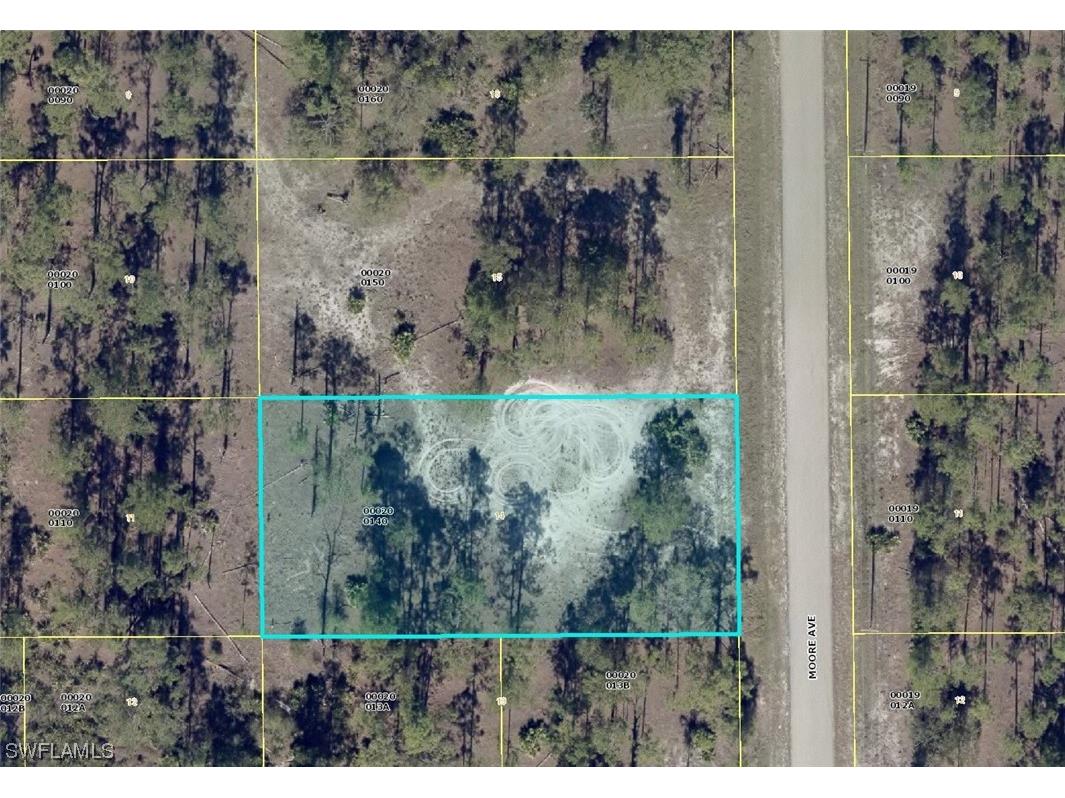 903 Moore Avenue Lehigh Acres FL 33972 223085054 image1