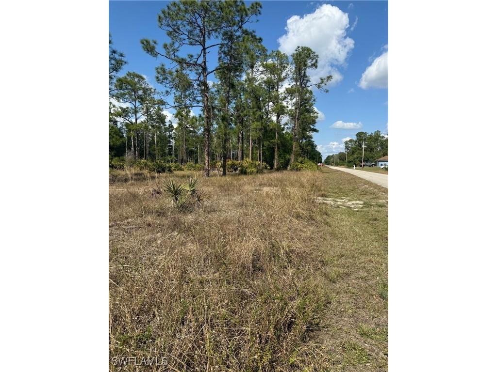 907 Johns Avenue Lehigh Acres FL 33972 225024946 image2