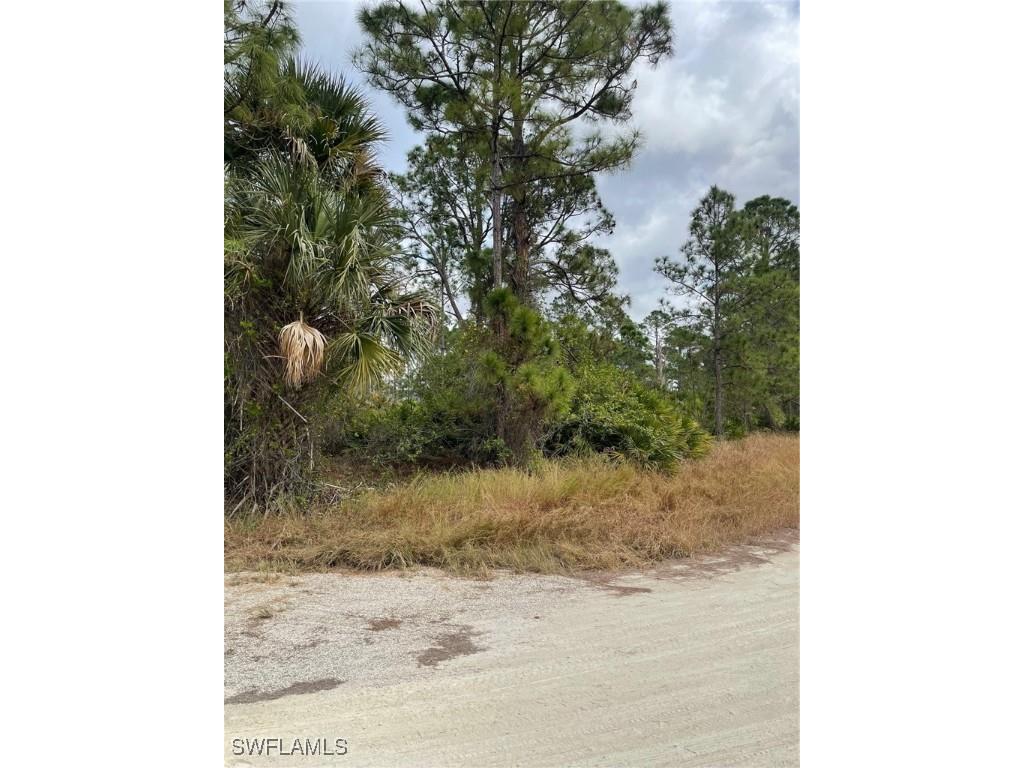 910 Franklin Street E Lehigh Acres FL 33974 225008125 image3