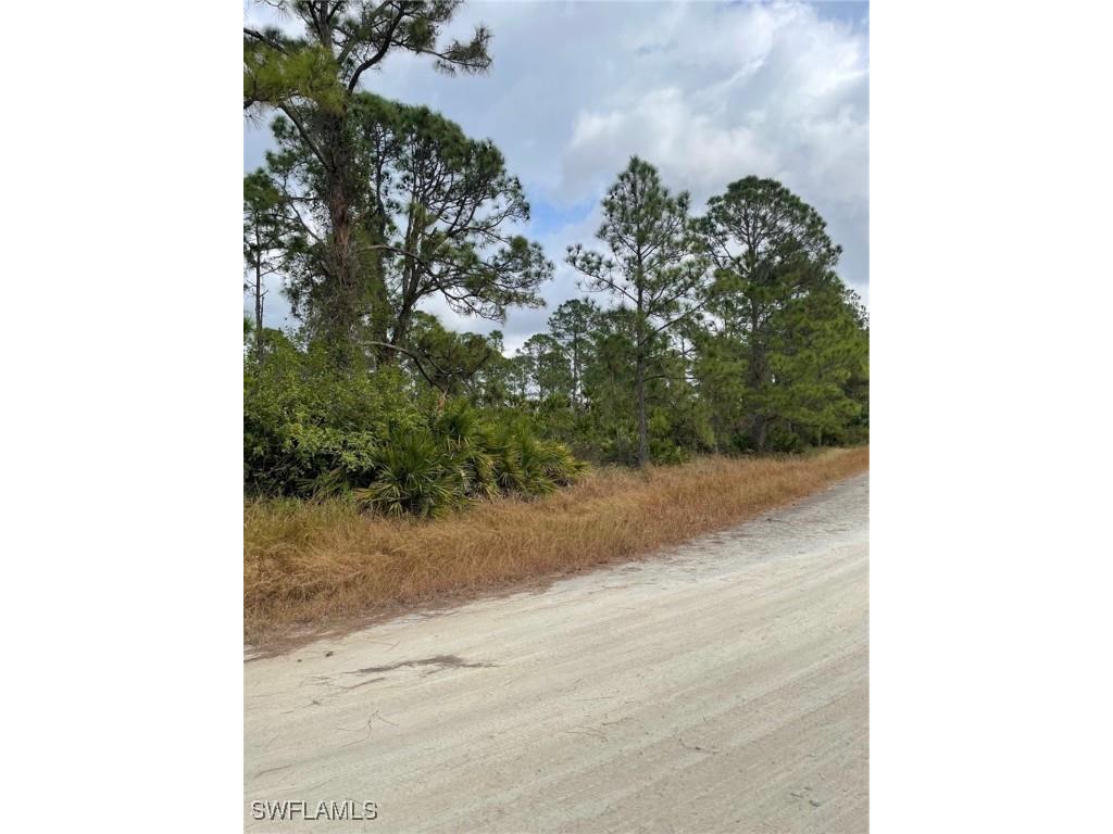 910 Franklin Street E Lehigh Acres FL 33974 225008125 image5