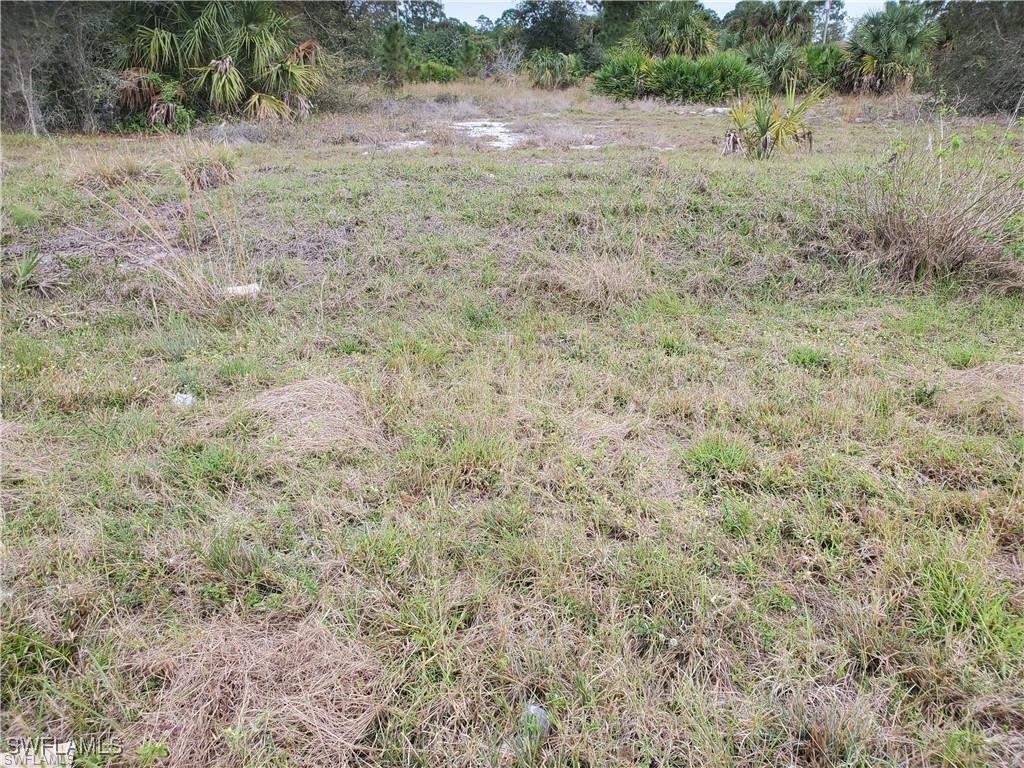 911 Marilyn Avenue S Lehigh Acres FL 33974 225017396 image2