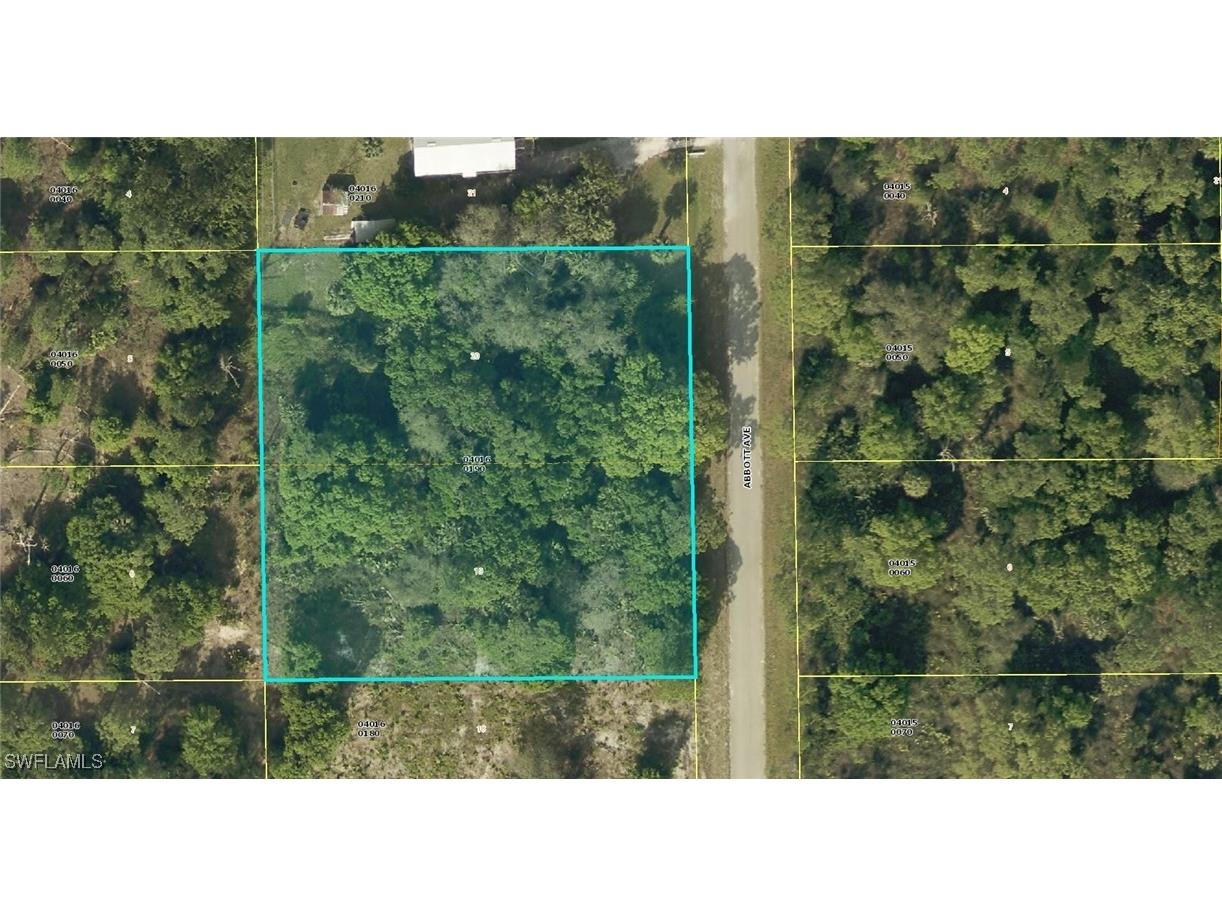 913 Abbott Avenue Lehigh Acres FL 33972 224076375 image1