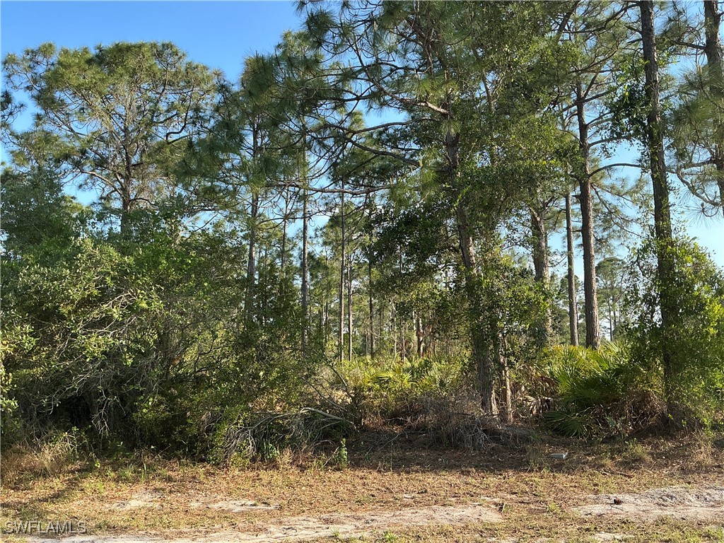 918 Beverly Street E Lehigh Acres FL 33974 225027134 image1