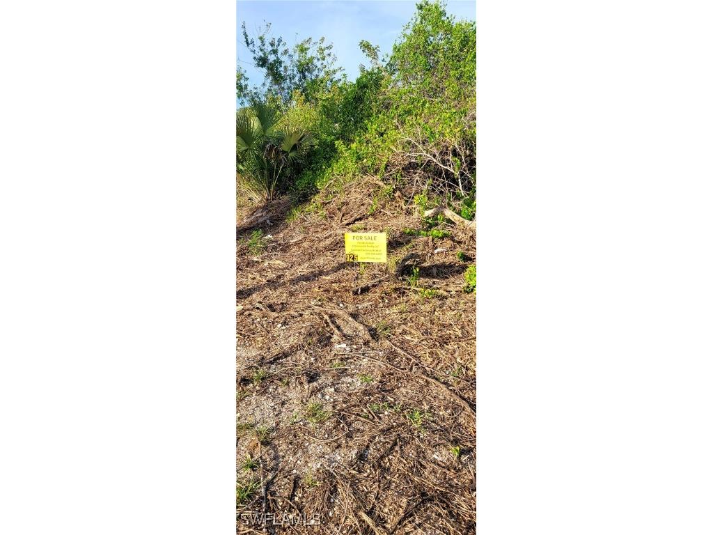 925 Macy Street E Lehigh Acres FL 33974 225031019 image2