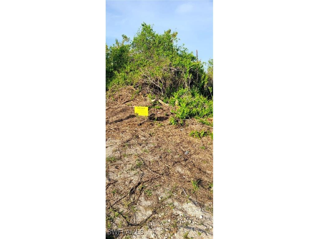 925 Macy Street E Lehigh Acres FL 33974 225031019 image3