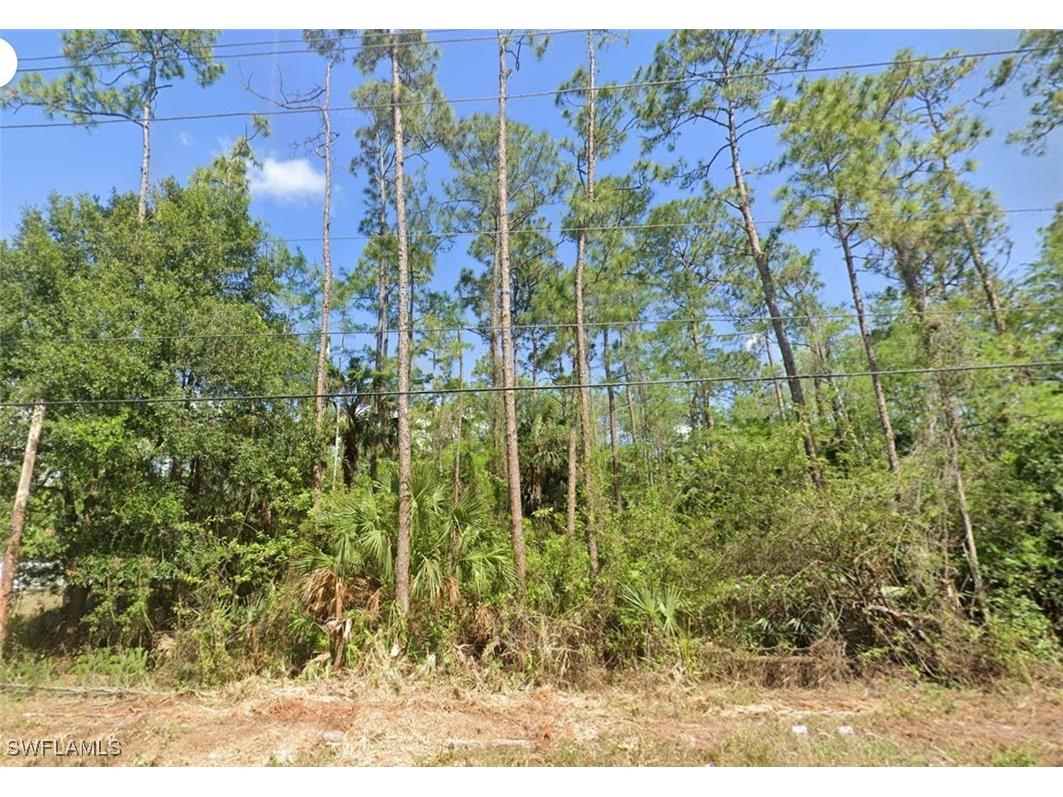 936 Desoto Boulevard S Naples FL 34117 225017801 image2