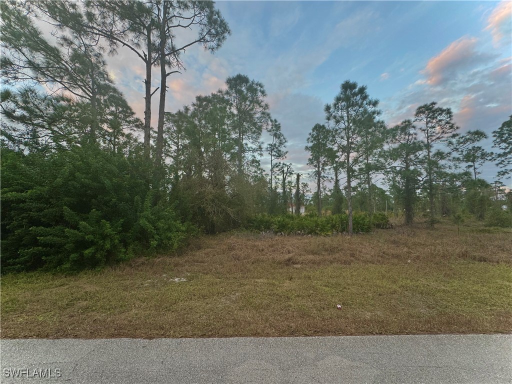 937 Alcalde Street E Lehigh Acres FL 33974 225023468 image1