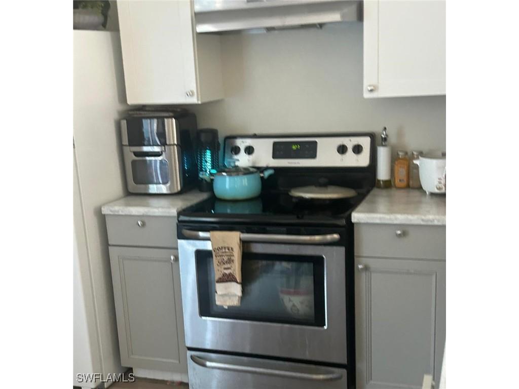 949-949 NE Pine Island Lane #947 Cape Coral FL 33909 225025318 image5